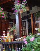 DSC02945 - Troodos Kakopetria